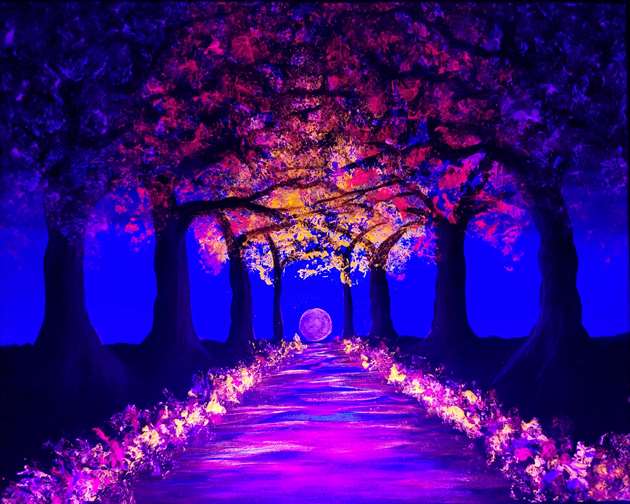 Blacklight Blossoms Aglow 